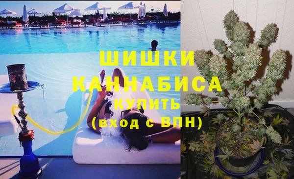 прущая мука Бородино