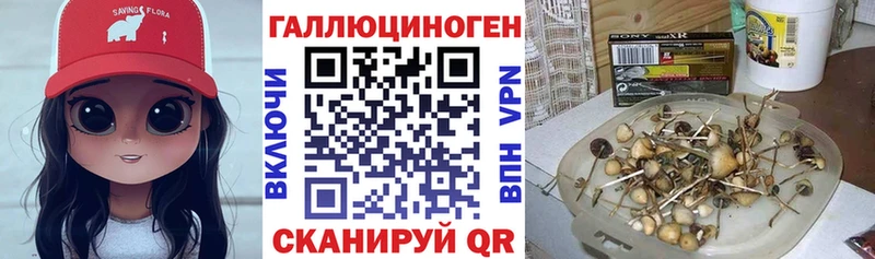 Галлюциногенные грибы Psilocybe  Тюмень 