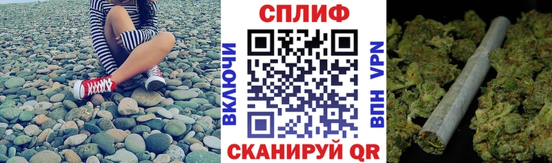 Бошки Шишки сатива  где найти наркотики  Тюмень 